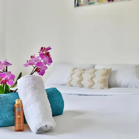 Appartement Soyeux De La Bruyere/ Grenoble*parking Gratuit